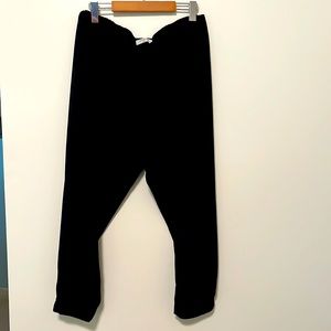 Aritzia Dexter Pants.